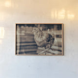 Chicken Barn III by Nathan Larson. shown as a paper print in a natural frame. Available as a archival giclee rolled canvas, fine art paper, or poster print. SKU 97957i.