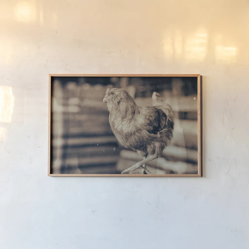 Chicken Barn III by Nathan Larson. shown as a paper print in a natural frame. Available as a archival giclee rolled canvas, fine art paper, or poster print. SKU 97957i.