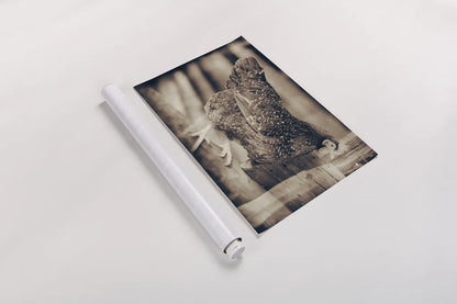 Chicken Barn IV by Nathan Larson. shown as a rolled paper print. Available as archival giclee rolled canvas, fine art paper, or poster print. SKU 97958i.