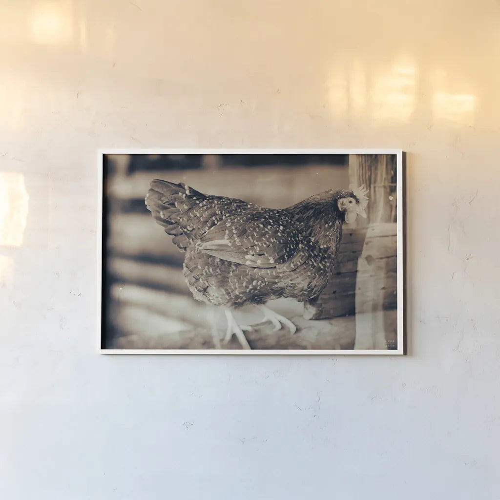 Chicken Barn IV by Nathan Larson. shown as a paper print in a white frame. Available as a archival giclee rolled canvas, fine art paper, or poster print. SKU 97958i.