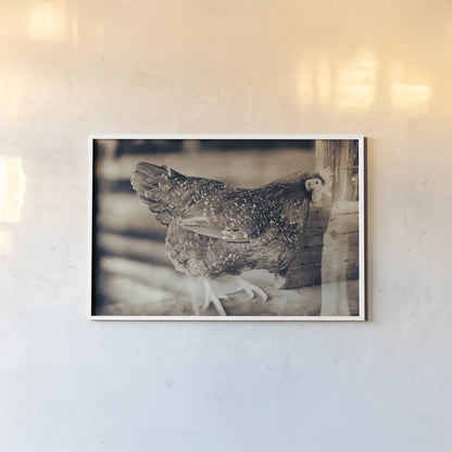 Chicken Barn IV by Nathan Larson. shown as a paper print in a white frame. Available as a archival giclee rolled canvas, fine art paper, or poster print. SKU 97958i.
