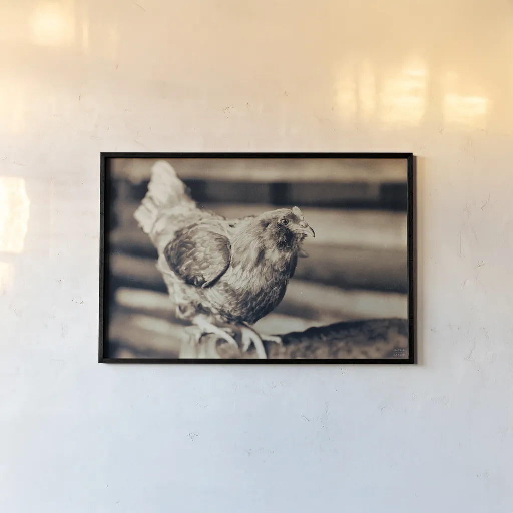Chicken Barn V by Nathan Larson. shown as a paper print in a black flame. Available as a archival giclee rolled canvas, fine art paper, or poster print. SKU 97959i.