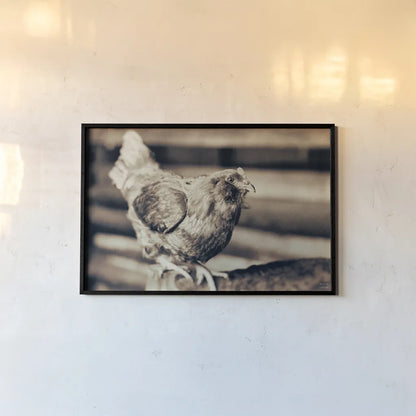 Chicken Barn V by Nathan Larson. shown as a paper print in a black flame. Available as a archival giclee rolled canvas, fine art paper, or poster print. SKU 97959i.