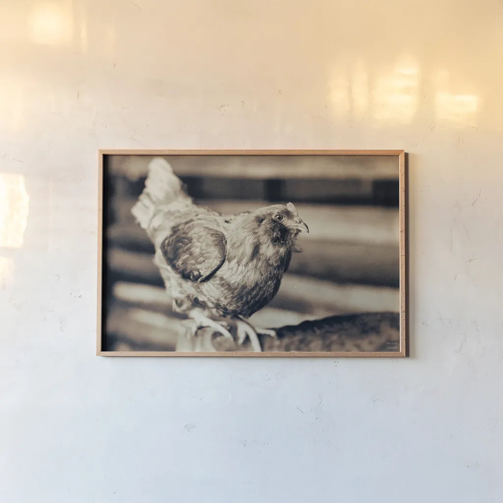 Chicken Barn V by Nathan Larson. shown as a paper print in a natural frame. Available as a archival giclee rolled canvas, fine art paper, or poster print. SKU 97959i.