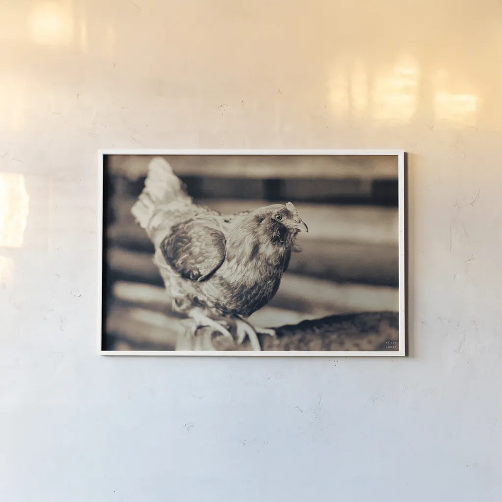 Chicken Barn V by Nathan Larson. shown as a paper print in a white frame. Available as a archival giclee rolled canvas, fine art paper, or poster print. SKU 97959i.