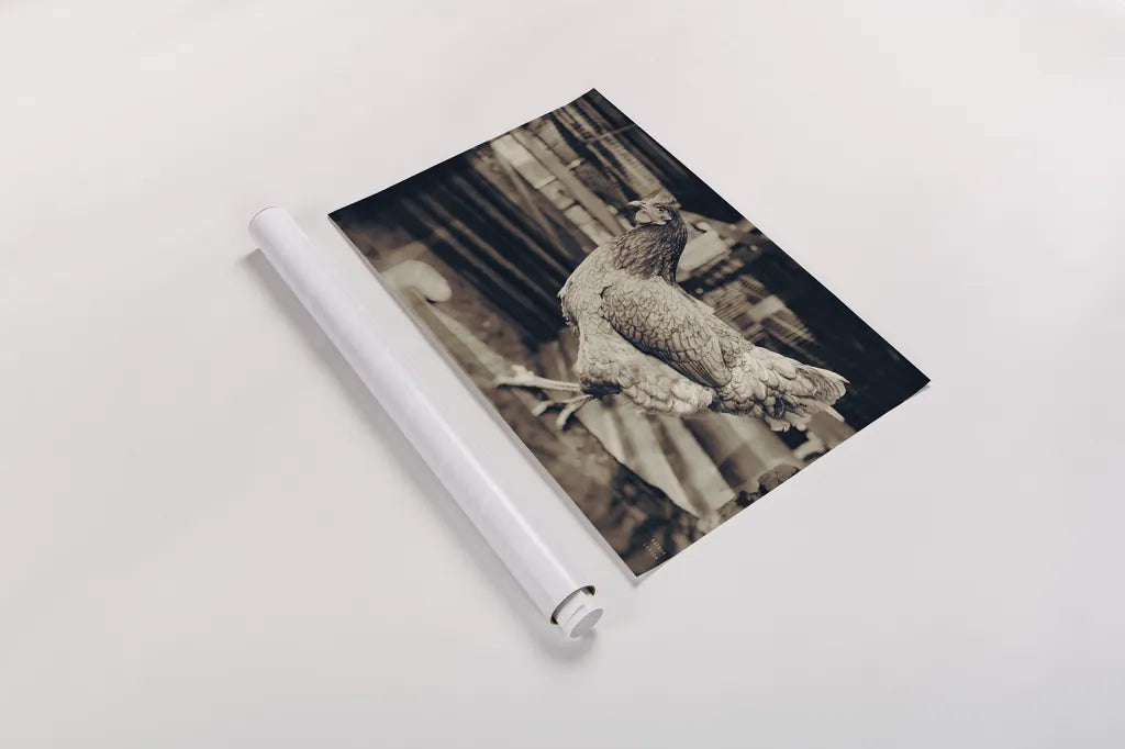 Chicken Barn VI by Nathan Larson. shown as a rolled paper print. Available as archival giclee rolled canvas, fine art paper, or poster print. SKU 97960i.