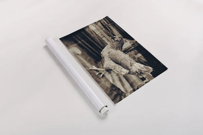 Chicken Barn VI by Nathan Larson. shown as a rolled paper print. Available as archival giclee rolled canvas, fine art paper, or poster print. SKU 97960i.