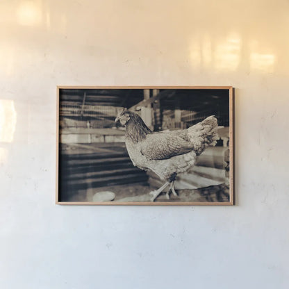 Chicken Barn VI by Nathan Larson. shown as a paper print in a natural frame. Available as a archival giclee rolled canvas, fine art paper, or poster print. SKU 97960i.