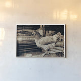 Chicken Barn VI by Nathan Larson. shown as a paper print in a white frame. Available as a archival giclee rolled canvas, fine art paper, or poster print. SKU 97960i.