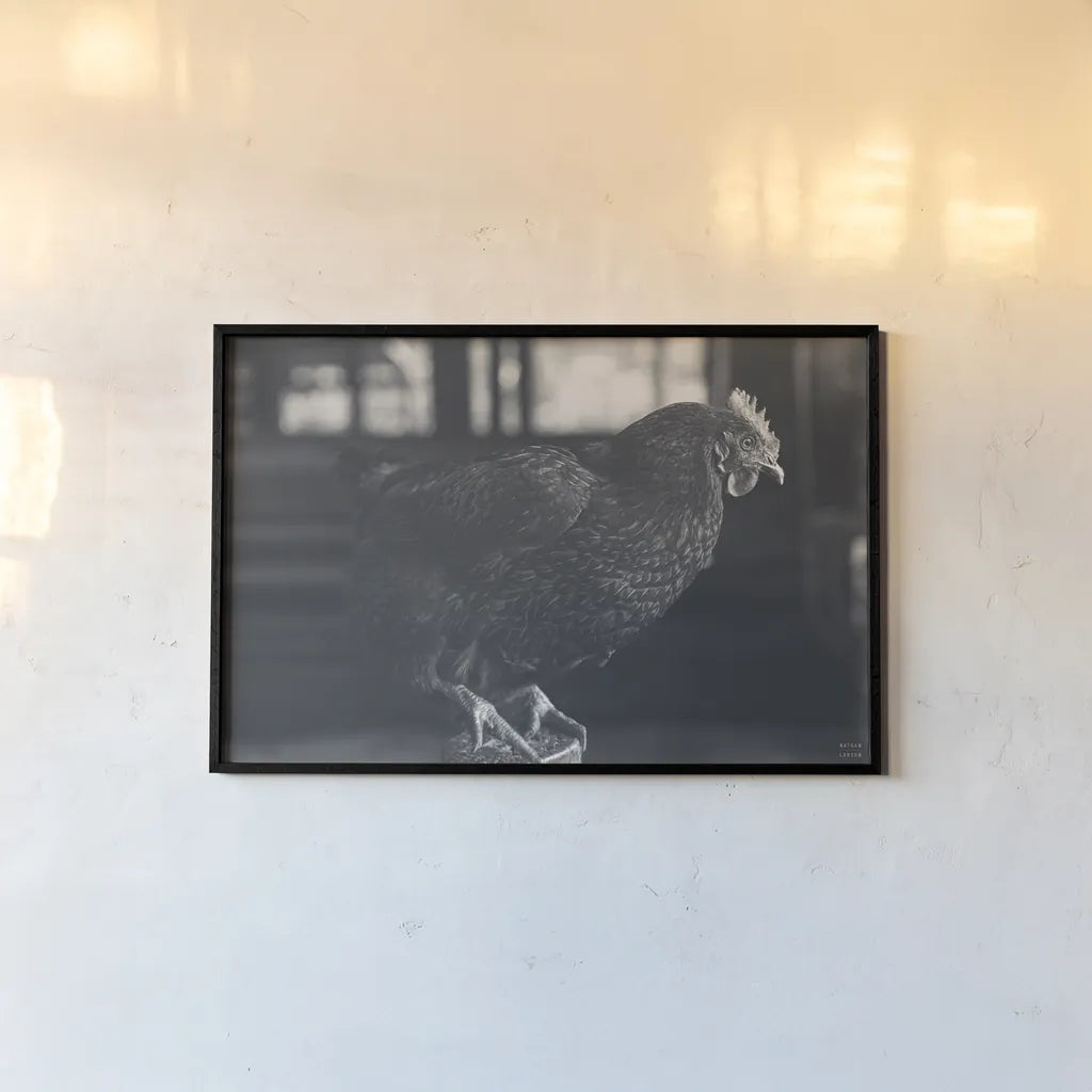 Chicken Watch by Nathan Larson. shown as a paper print in a black flame. Available as a archival giclee rolled canvas, fine art paper, or poster print. SKU 97954i.