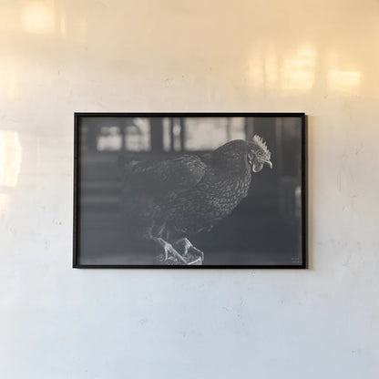 Chicken Watch by Nathan Larson. shown as a paper print in a black flame. Available as a archival giclee rolled canvas, fine art paper, or poster print. SKU 97954i.