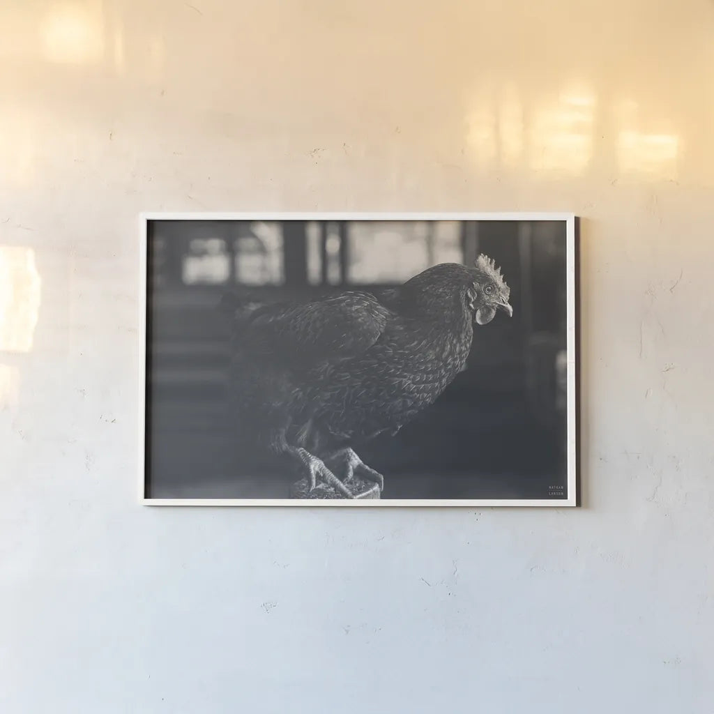 Chicken Watch by Nathan Larson. shown as a paper print in a white frame. Available as a archival giclee rolled canvas, fine art paper, or poster print. SKU 97954i.