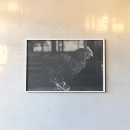 Chicken Watch by Nathan Larson. shown as a paper print in a white frame. Available as a archival giclee rolled canvas, fine art paper, or poster print. SKU 97954i.