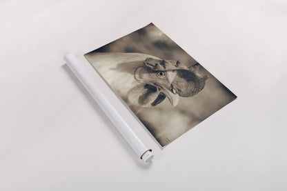 Chicken in the Sun I Sepia by Nathan Larson. shown as a rolled paper print. Available as archival giclee rolled canvas, fine art paper, or poster print. SKU 97875i.