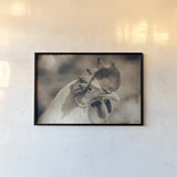 Chicken in the Sun I Sepia by Nathan Larson. shown as a paper print in a black flame. Available as a archival giclee rolled canvas, fine art paper, or poster print. SKU 97875i.