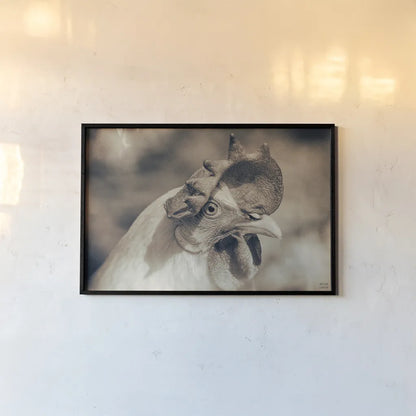 Chicken in the Sun I Sepia by Nathan Larson. shown as a paper print in a black flame. Available as a archival giclee rolled canvas, fine art paper, or poster print. SKU 97875i.