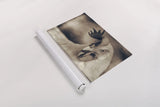 Chicken in the Sun II Sepia by Nathan Larson. shown as a rolled paper print. Available as archival giclee rolled canvas, fine art paper, or poster print. SKU 97876i.