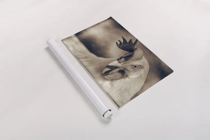 Chicken in the Sun II Sepia by Nathan Larson. shown as a rolled paper print. Available as archival giclee rolled canvas, fine art paper, or poster print. SKU 97876i.