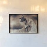 Chicken in the Sun II Sepia by Nathan Larson. shown as a paper print in a black flame. Available as a archival giclee rolled canvas, fine art paper, or poster print. SKU 97876i.