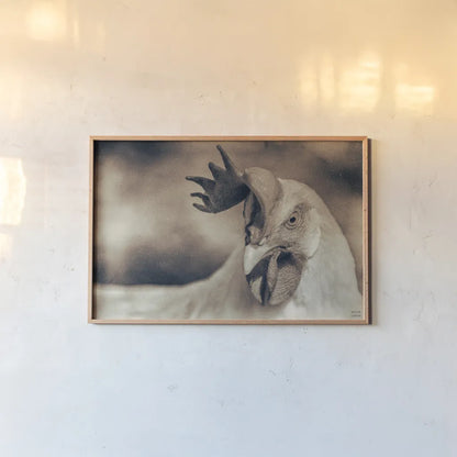 Chicken in the Sun II Sepia by Nathan Larson. shown as a paper print in a natural frame. Available as a archival giclee rolled canvas, fine art paper, or poster print. SKU 97876i.