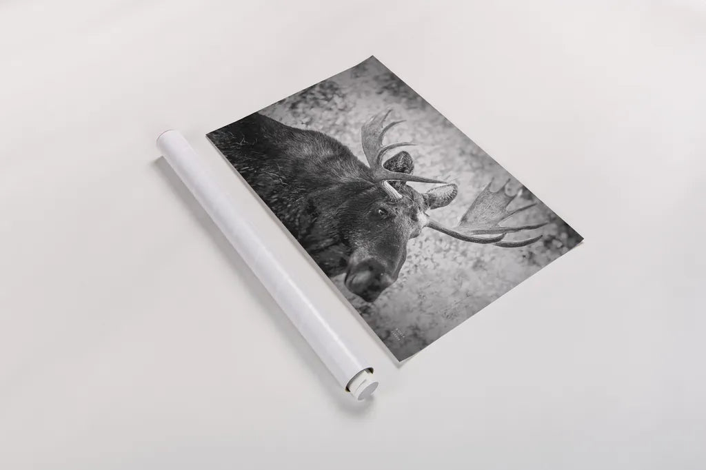 Close by Nathan Larson. shown as a rolled paper print. Available as archival giclee rolled canvas, fine art paper, or poster print. SKU 89458i.