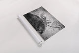 Close by Nathan Larson. shown as a rolled paper print. Available as archival giclee rolled canvas, fine art paper, or poster print. SKU 89458i.