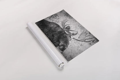 Close by Nathan Larson. shown as a rolled paper print. Available as archival giclee rolled canvas, fine art paper, or poster print. SKU 89458i.