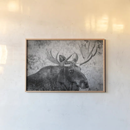 Close by Nathan Larson. shown as a paper print in a natural frame. Available as a archival giclee rolled canvas, fine art paper, or poster print. SKU 89458i.