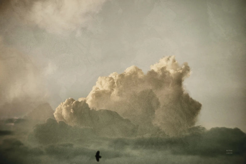 Cloud Dance by Nathan Larson