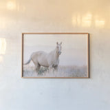 Colorado Open Range by Nathan Larson. shown as a paper print in a natural frame. Available as a archival giclee rolled canvas, fine art paper, or poster print. SKU 104267i.