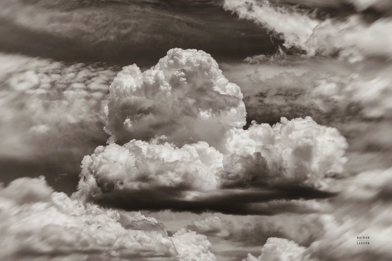 Come Home Sepia by Nathan Larson