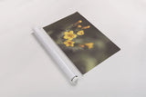 Common Fiddleneck II by Nathan Larson. shown as a rolled paper print. Available as archival giclee rolled canvas, fine art paper, or poster print. SKU 90482i.