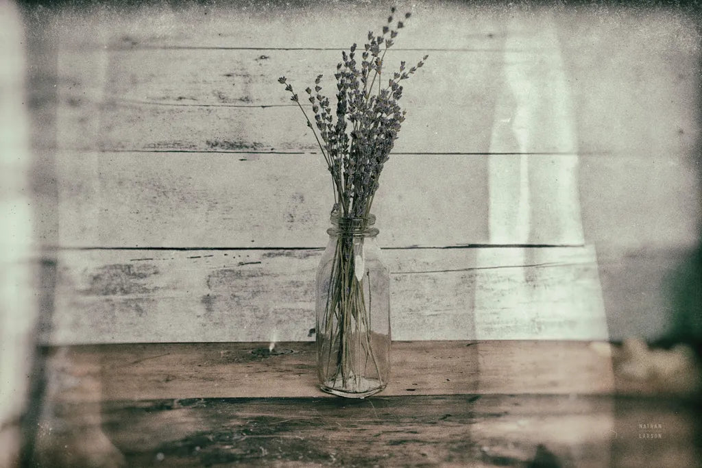 Cottage Lavender I by Nathan Larson. SKU 77892i. Archival Giclee Fine art print for wall decor.