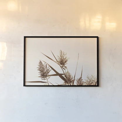 Country Grasses I by Nathan Larson. shown as a paper print in a black flame. Available as a archival giclee rolled canvas, fine art paper, or poster print. SKU 75477i.