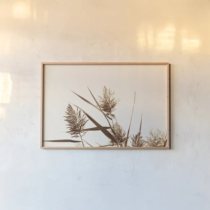 Country Grasses I by Nathan Larson. shown as a paper print in a natural frame. Available as a archival giclee rolled canvas, fine art paper, or poster print. SKU 75477i.