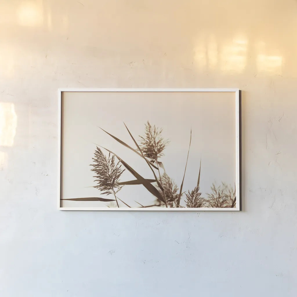Country Grasses I by Nathan Larson. shown as a paper print in a white frame. Available as a archival giclee rolled canvas, fine art paper, or poster print. SKU 75477i.