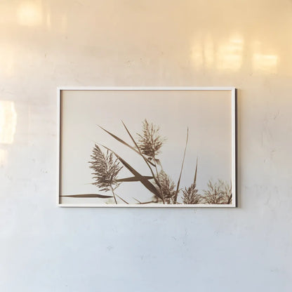 Country Grasses I by Nathan Larson. shown as a paper print in a white frame. Available as a archival giclee rolled canvas, fine art paper, or poster print. SKU 75477i.