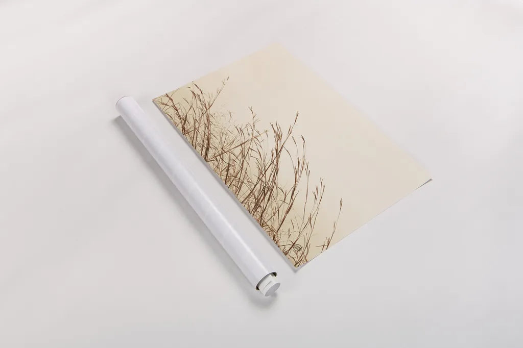 Country Grasses II by Nathan Larson. shown as a rolled paper print. Available as archival giclee rolled canvas, fine art paper, or poster print. SKU 75478i.