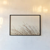 Country Grasses II by Nathan Larson. shown as a paper print in a black flame. Available as a archival giclee rolled canvas, fine art paper, or poster print. SKU 75478i.