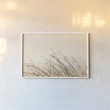 Country Grasses II by Nathan Larson. shown as a paper print in a white frame. Available as a archival giclee rolled canvas, fine art paper, or poster print. SKU 75478i.