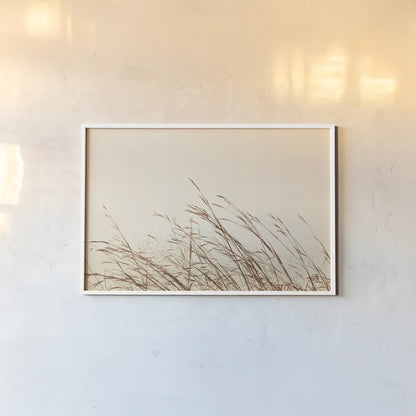 Country Grasses II by Nathan Larson. shown as a paper print in a white frame. Available as a archival giclee rolled canvas, fine art paper, or poster print. SKU 75478i.
