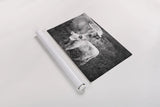 Cow Care by Nathan Larson. shown as a rolled paper print. Available as archival giclee rolled canvas, fine art paper, or poster print. SKU 71165i.
