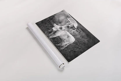 Cow Care by Nathan Larson. shown as a rolled paper print. Available as archival giclee rolled canvas, fine art paper, or poster print. SKU 71165i.
