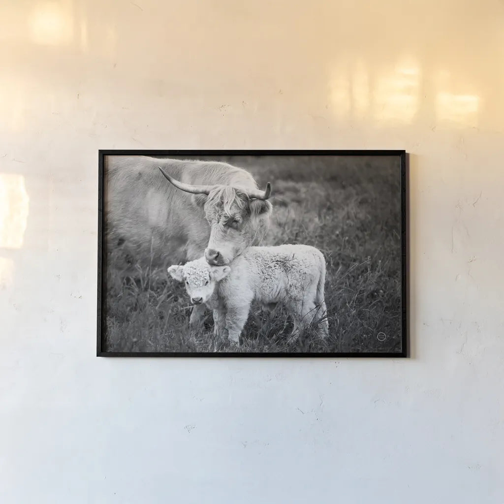 Cow Care by Nathan Larson. shown as a paper print in a black flame. Available as a archival giclee rolled canvas, fine art paper, or poster print. SKU 71165i.