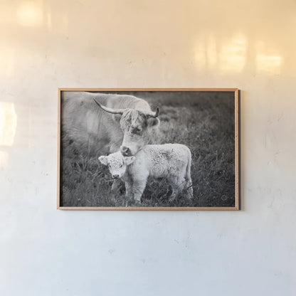 Cow Care by Nathan Larson. shown as a paper print in a natural frame. Available as a archival giclee rolled canvas, fine art paper, or poster print. SKU 71165i.