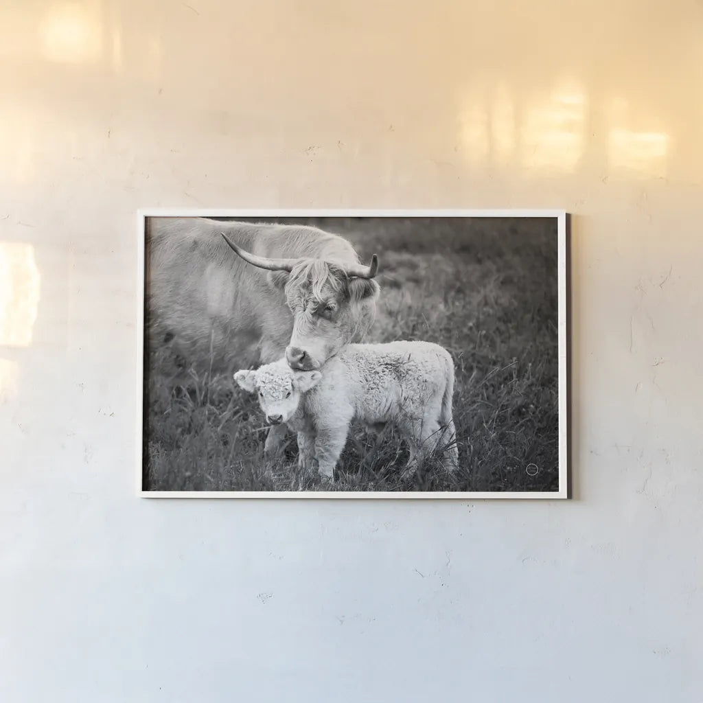 Cow Care by Nathan Larson. shown as a paper print in a white frame. Available as a archival giclee rolled canvas, fine art paper, or poster print. SKU 71165i.