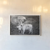 Cow Care by Nathan Larson. shown as a paper print in a white frame. Available as a archival giclee rolled canvas, fine art paper, or poster print. SKU 71165i.