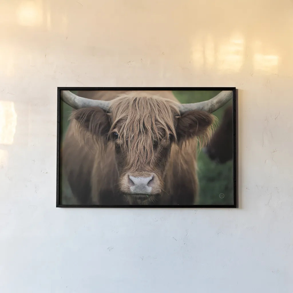 Cow Nose by Nathan Larson. shown as a paper print in a black flame. Available as a archival giclee rolled canvas, fine art paper, or poster print. SKU 71432i.