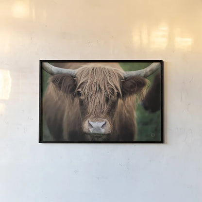 Cow Nose by Nathan Larson. shown as a paper print in a black flame. Available as a archival giclee rolled canvas, fine art paper, or poster print. SKU 71432i.