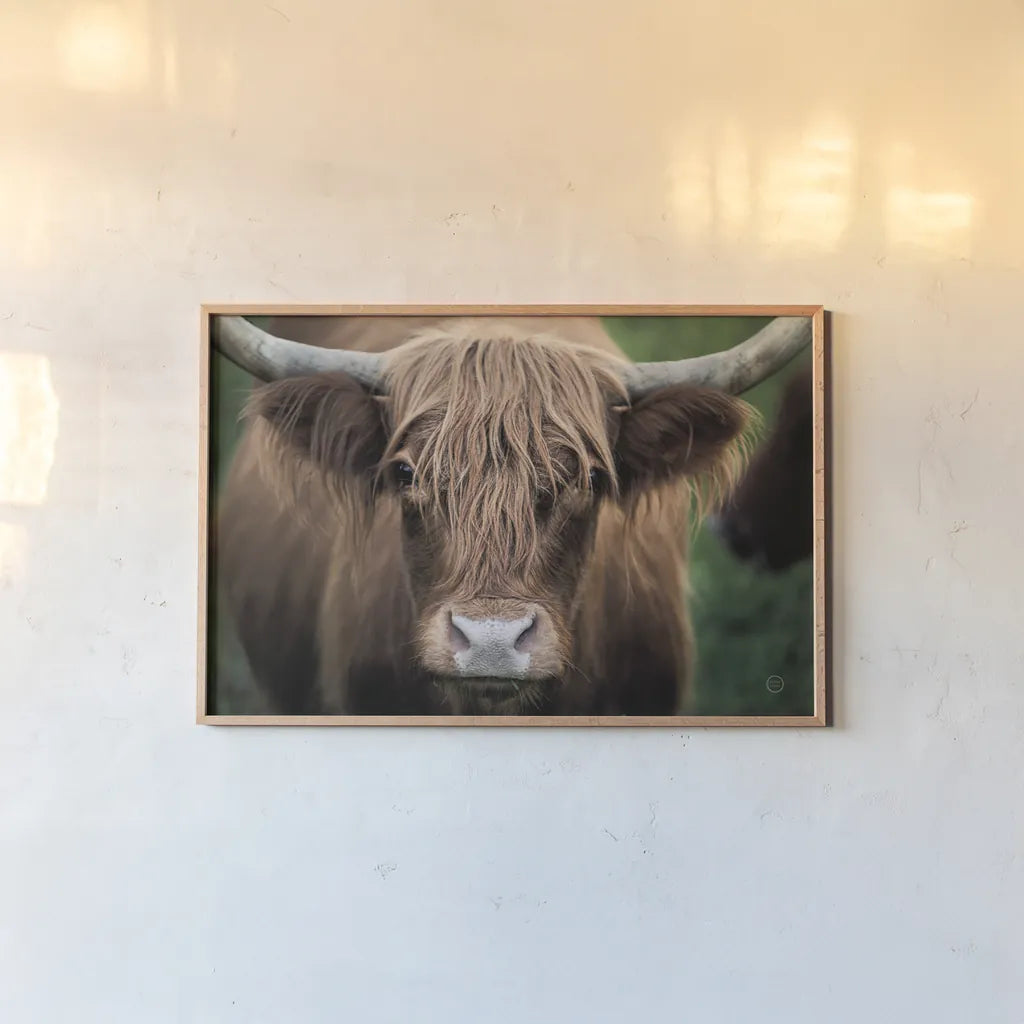 Cow Nose by Nathan Larson. shown as a paper print in a natural frame. Available as a archival giclee rolled canvas, fine art paper, or poster print. SKU 71432i.